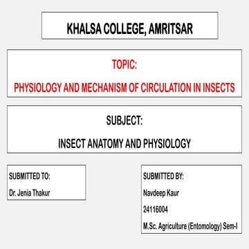 Circulatory system of insect Open Circulatory system | PDF