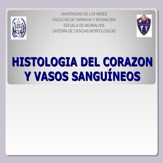 HISTOLOGÍA y EMBRIOLOGIA DEL CORAZÓ...