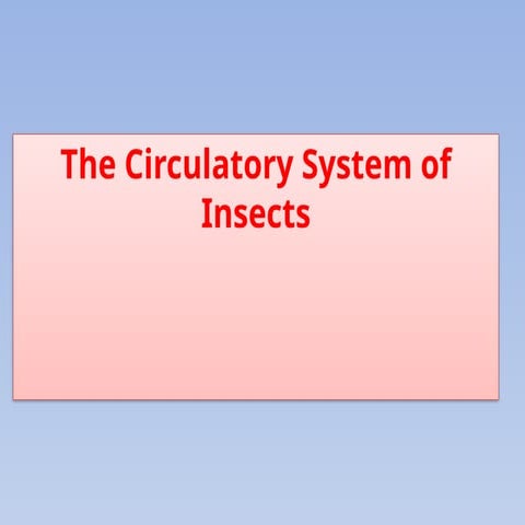 Circulatory system of insect Open Circulatory system | PDF