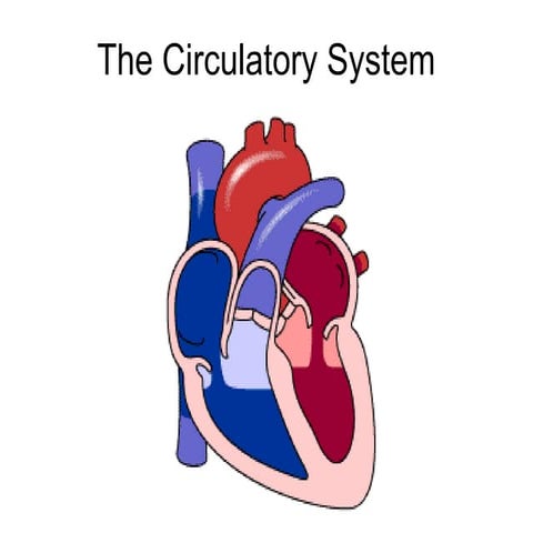 circulatory-system-for academics  purposes