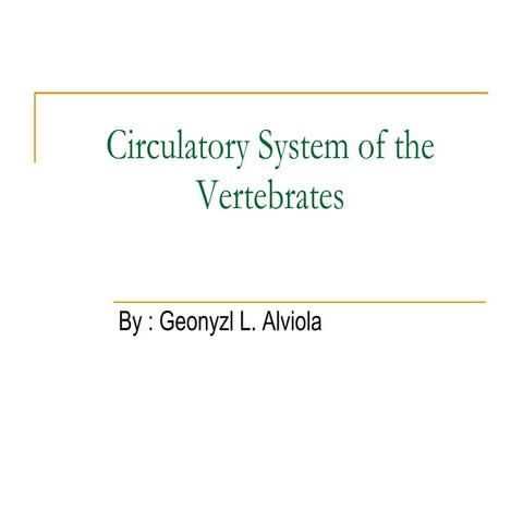 Circulatory System Of The Vertebrates