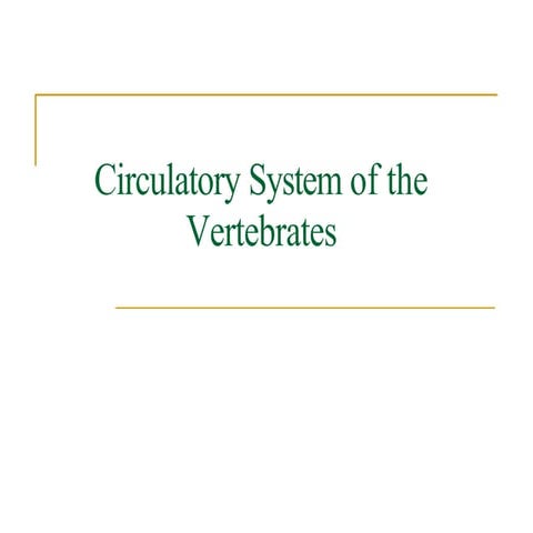 circulatory-system-of-the-vertebrates.pptx