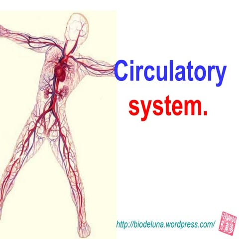 Circulatory system