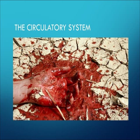 circulatory system -1.pdf