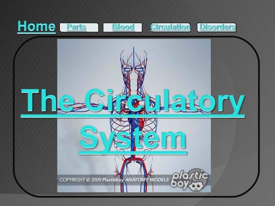 Circulatory system for Class 8 | PPT