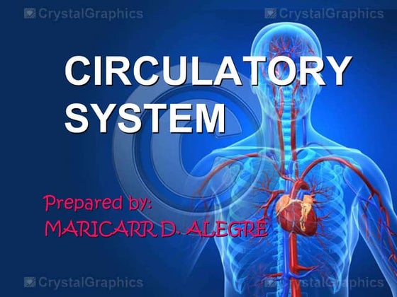 circulatory system.pptxgxmfxjfzrzrruEyUr | PPT