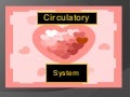 Circulatory system
