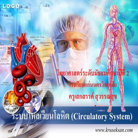 ระบบไหลเวียนเลือด (Circulatory System)