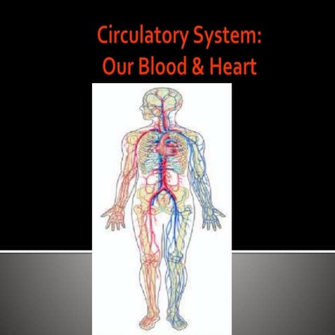 Circulatory system for elementary level | PPTX