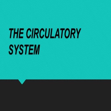 Circulatory system