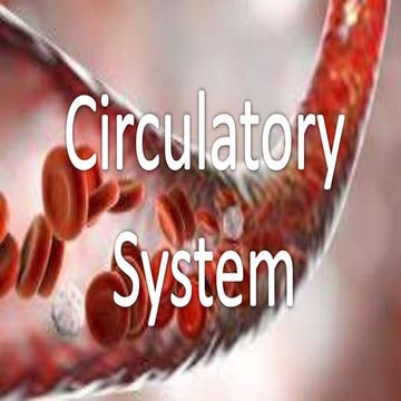 Cardiovascular System - Parts and Function