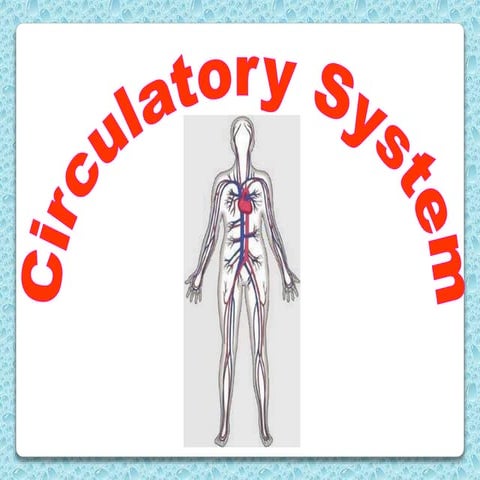 Circulatory system