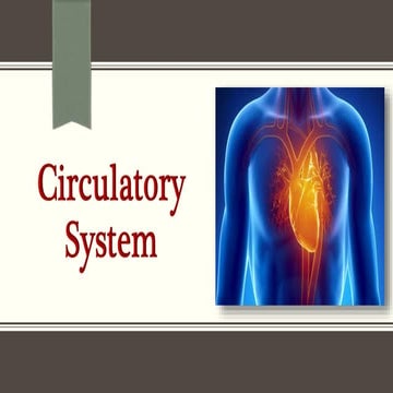 Circulatory system