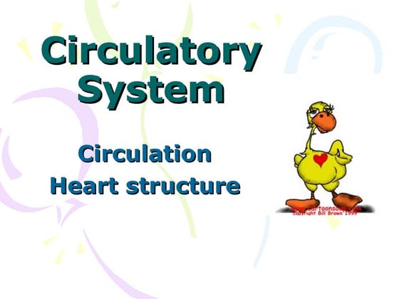 circulatory-system-ppt-an-overview-of-the-cardiovascular-and-blood