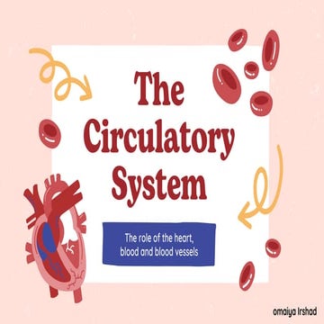 Circulatory System PDF | Heart, Blood & Blood Vessels | Science Teaching Material.