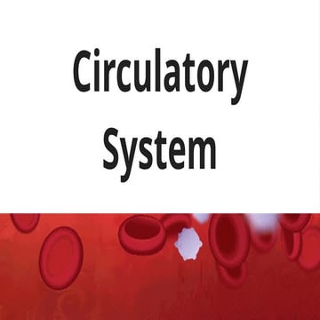Circulatory System.pptx grade 5 quarter 2 | PPTX