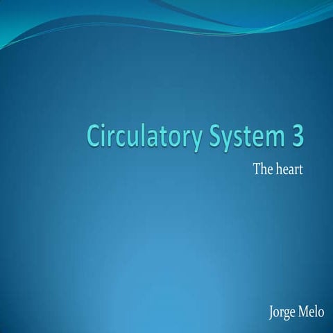 Circulatory system - The Heart