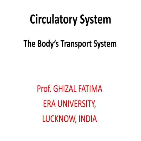 Circulatory system 7-8