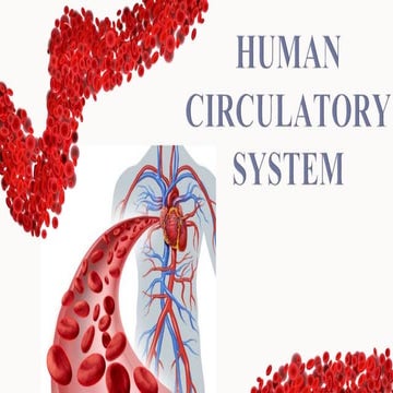 CIRCULATORY SYSTEM_CLASS 10th.pptx