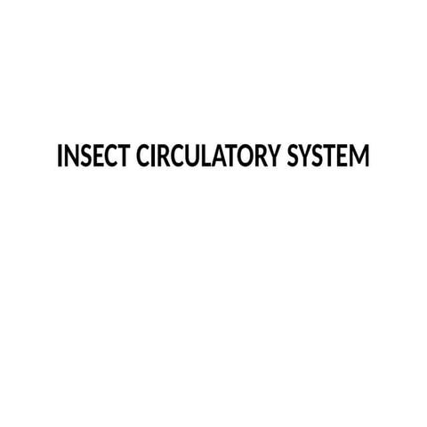 Insect circulatory system | PPTX