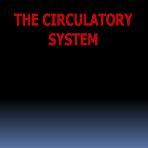 circulatory system mammals.ppt