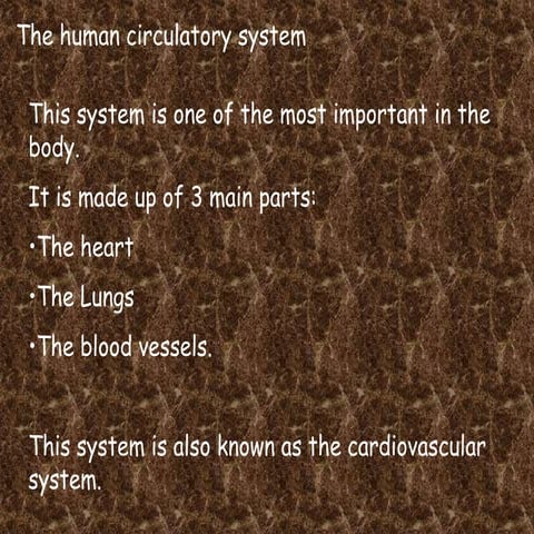 Circulatory system pdf