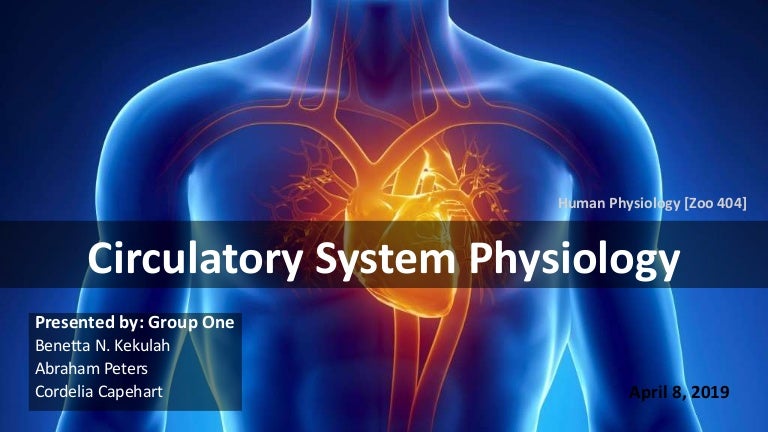 Circulatory System Physiology [Zoo 403]