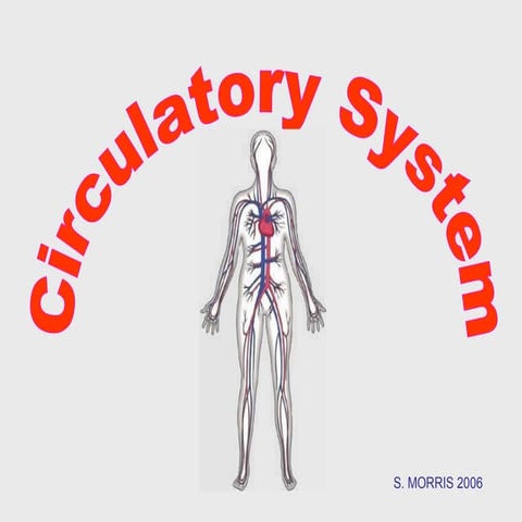 Circulatory System Ppt