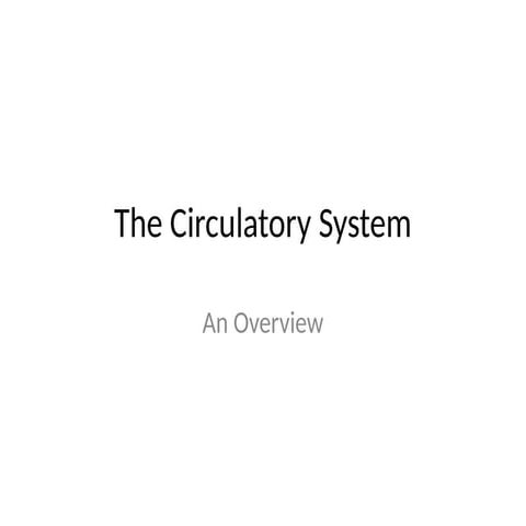 Circulatory_System_Presentation_Updated.pptx