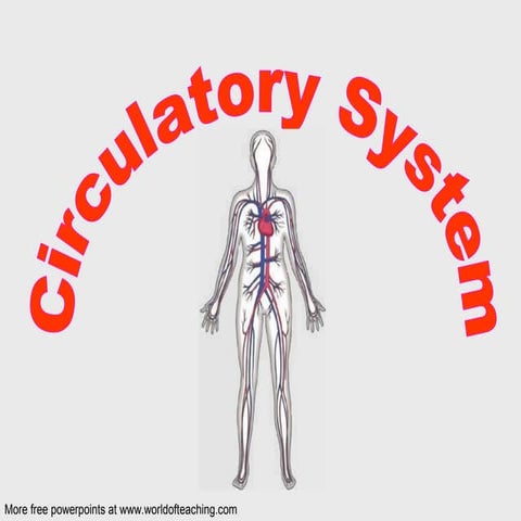 Circulatory system