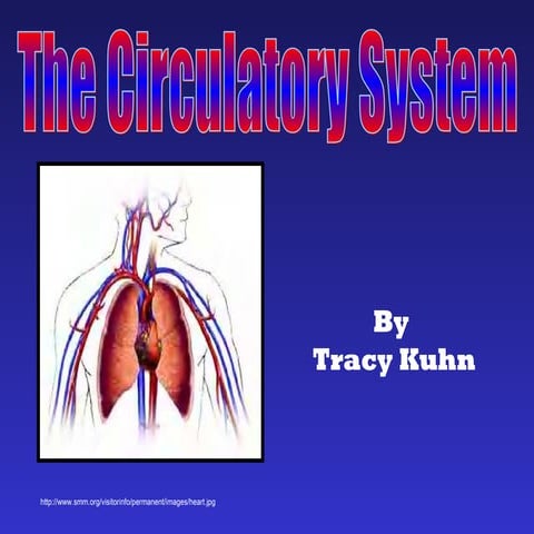 Circulatory system slide show