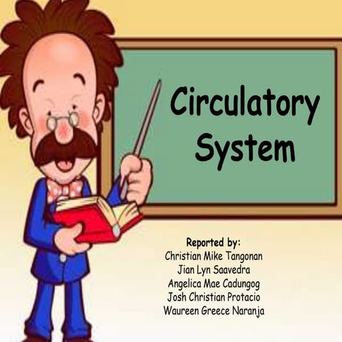 Circulatory system 