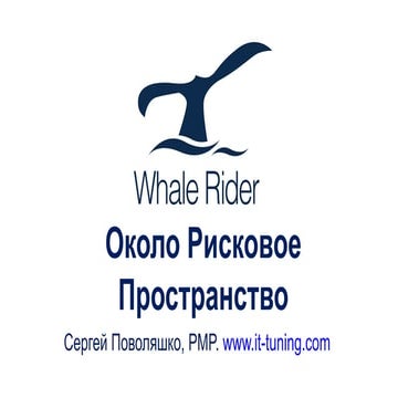 Circum Risk Space. Whale Rider Conference. Moscow