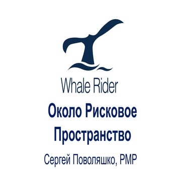 Circum Risk Space. Whale Rider Conference. Moscow