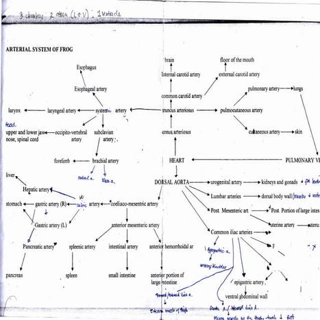 Atlas of the From | PDF