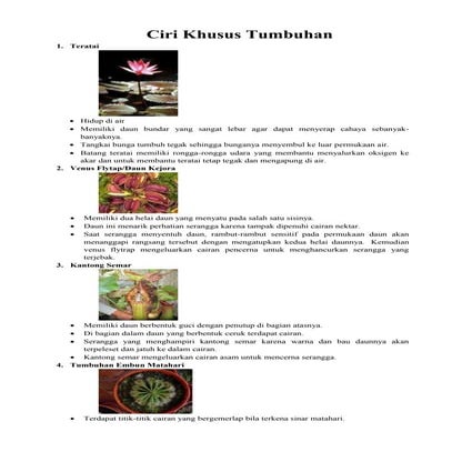 Ciri khusus tumbuhan sd