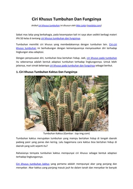 Unix 20 Ciri Khusus Tumbuhan Dan Fungsinya Gambar Stiker