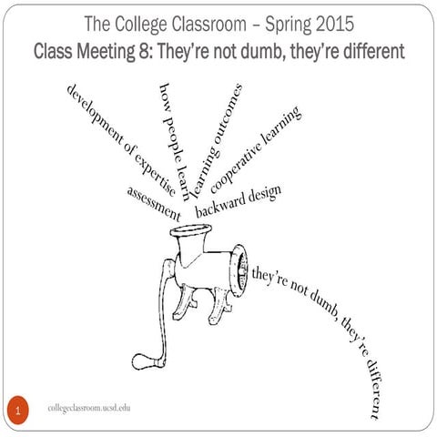 CIRTL Class Meeting 8: They're not dumb, they're different