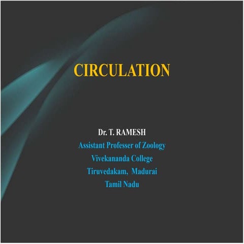 Circulatory system of human