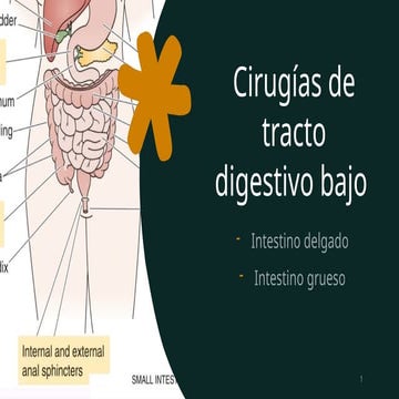 Cirugía de tracto digestivo bbbbbbbbbbb | PPTX