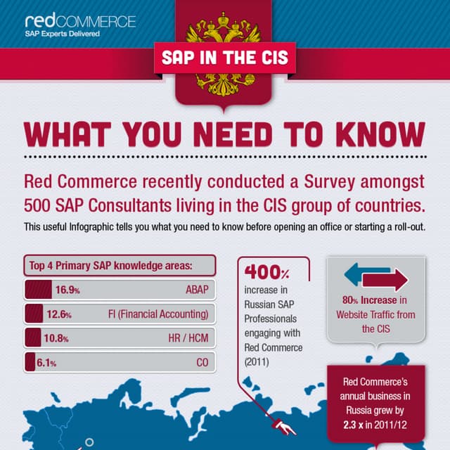 SAP in Brazil Infographic | PDF