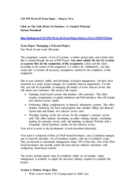 Bus 599 week 10 project deliverable 6 strayer new essay 03 image