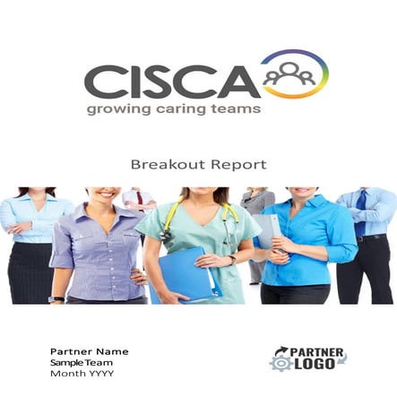 ISA 360 sample report_Standard | PDF