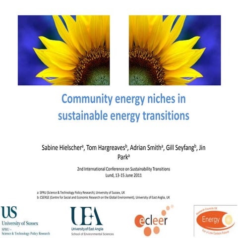 Sustainable energy adoption in poor rural areas | PDF