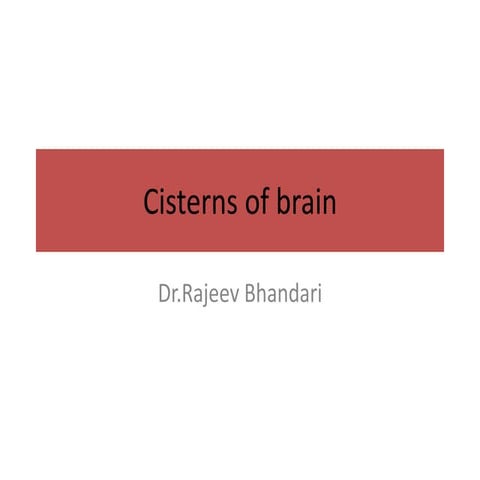 Cisterns of brain and its contents along with its classification and approach...