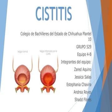 Cistitis | PPTX