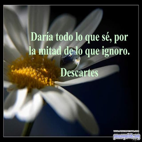 Citas Y Proverbios 2185