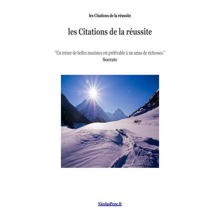 Citations reussite from Nicolas Pene