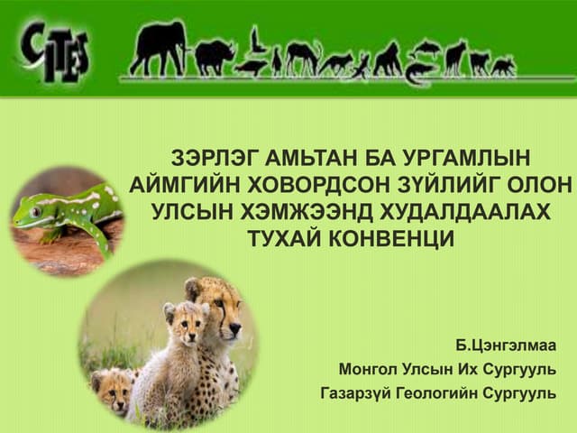 зэрлэг амьтад