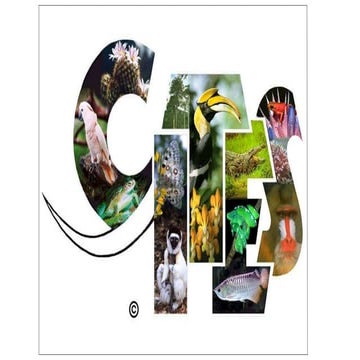 Cites | PPTX